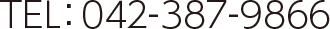 042-387-9866