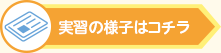 実習の様子はこちら